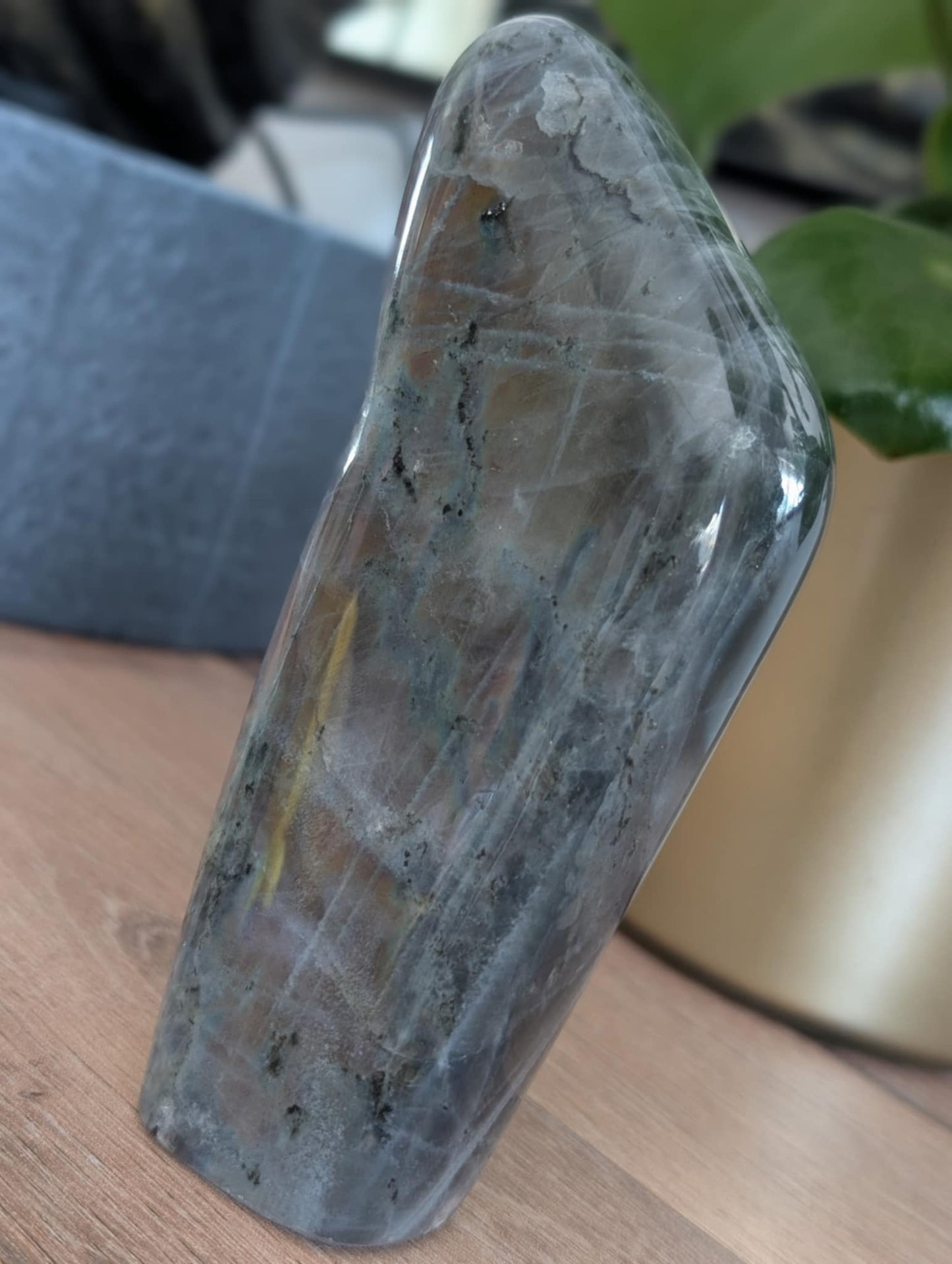 Labradorite de type spectrolite polie