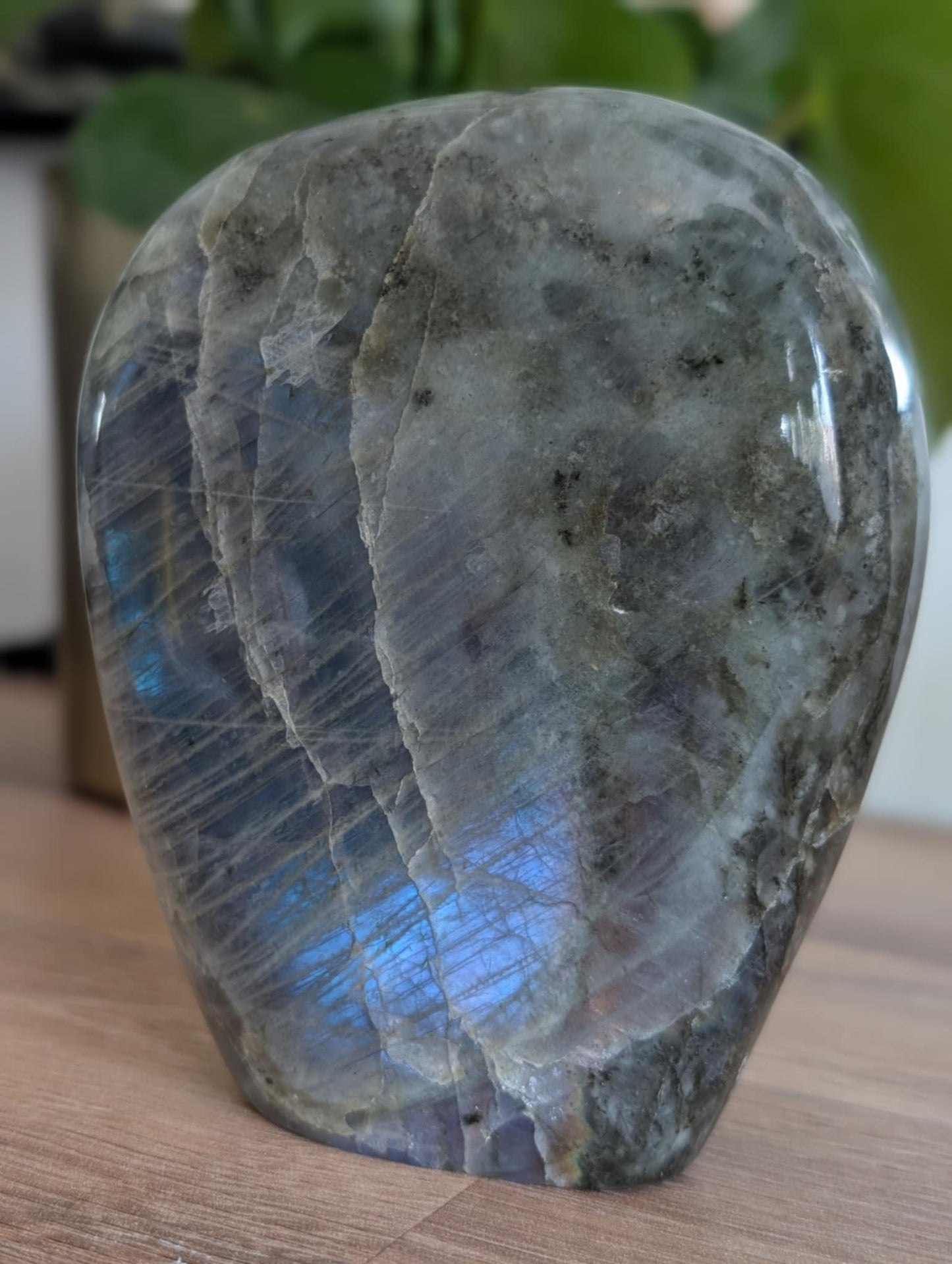 Labradorite de type spectrolite polie