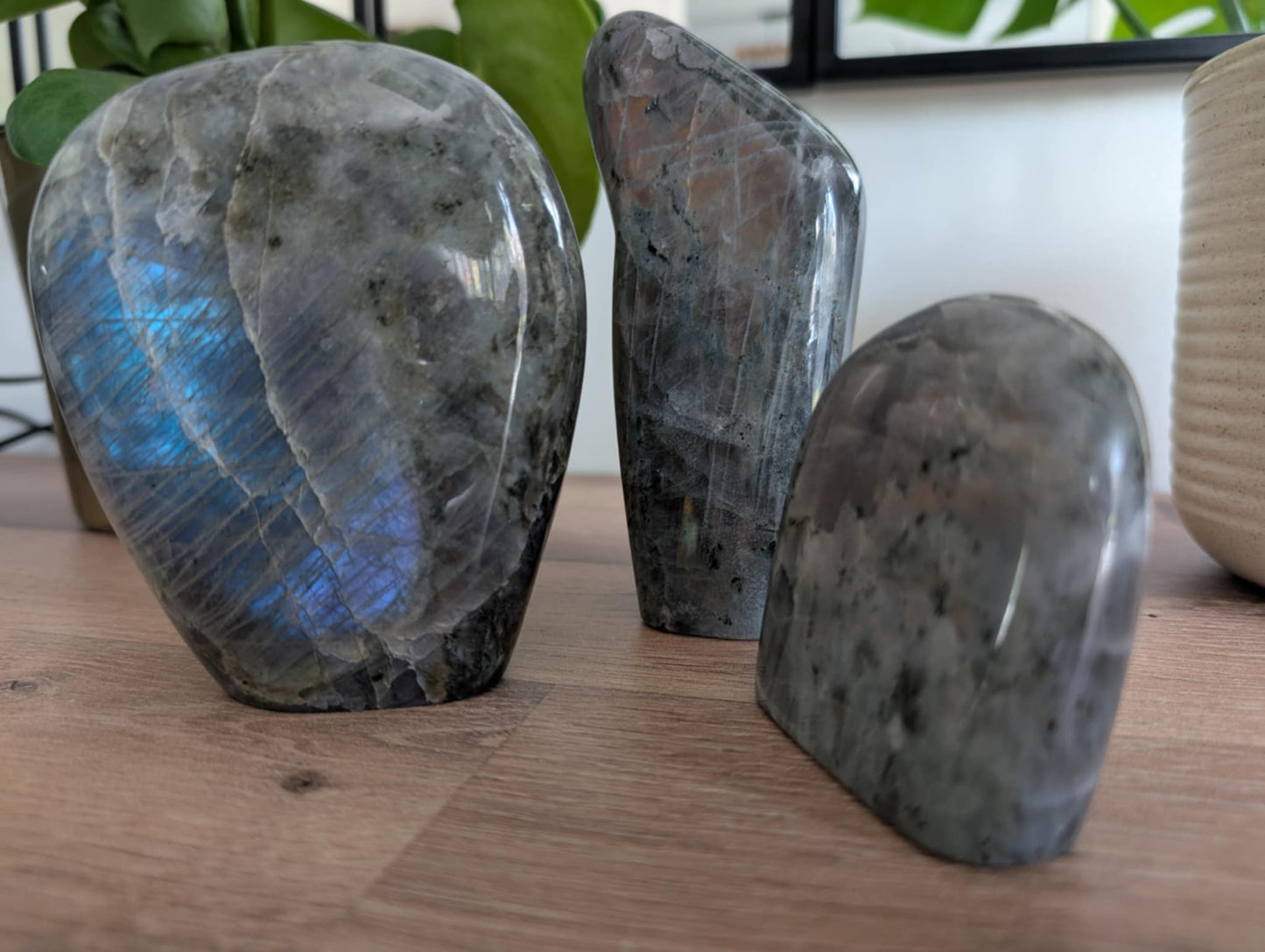 Labradorite de type spectrolite polie