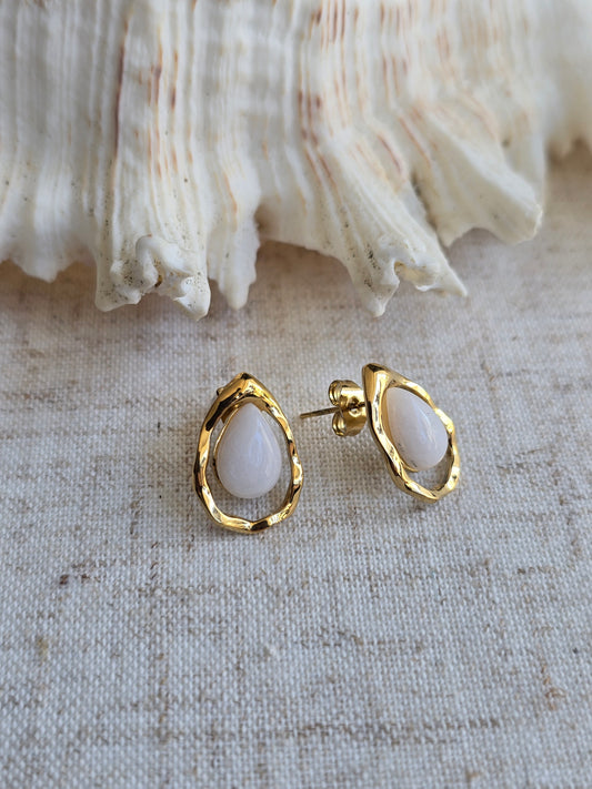 Puce d'oreille turquoise africaine