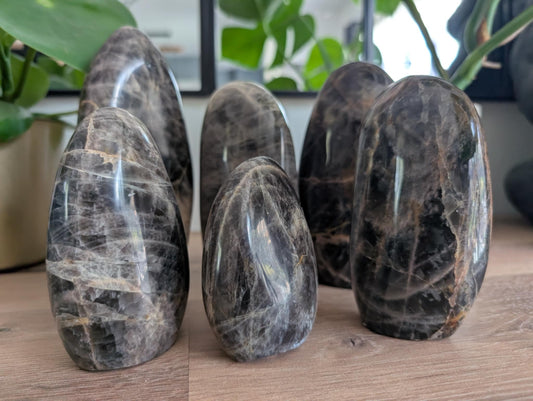 Forme libre de Lune noire