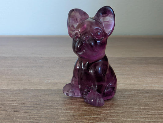 Chien en fluorine multicolore