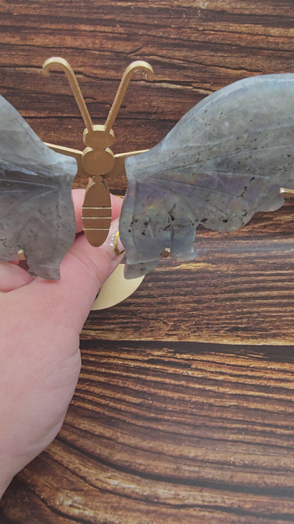 Papillon en Labradorite sur Socle 140 à 160 mm – Protection, Grade AA