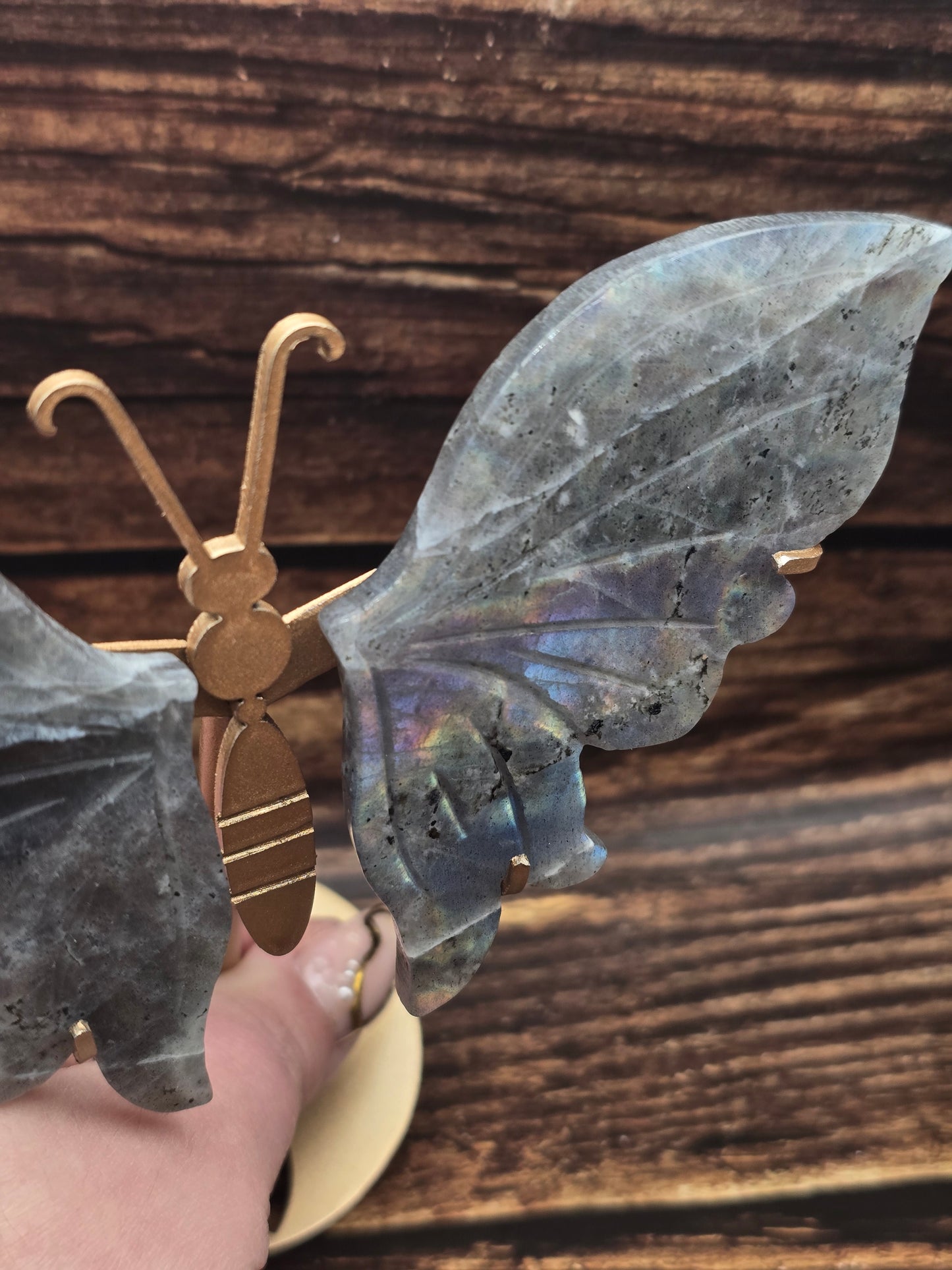 Papillon en Labradorite sur Socle 140 à 160 mm – Protection, Grade AA