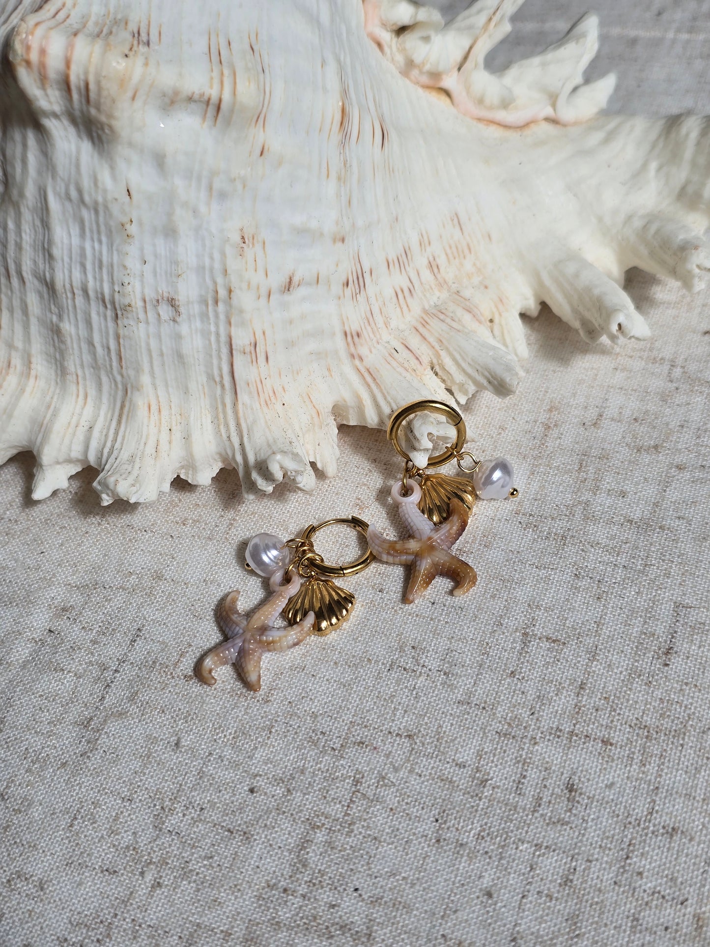 Boucles d'oreilles "Étoile oceane "