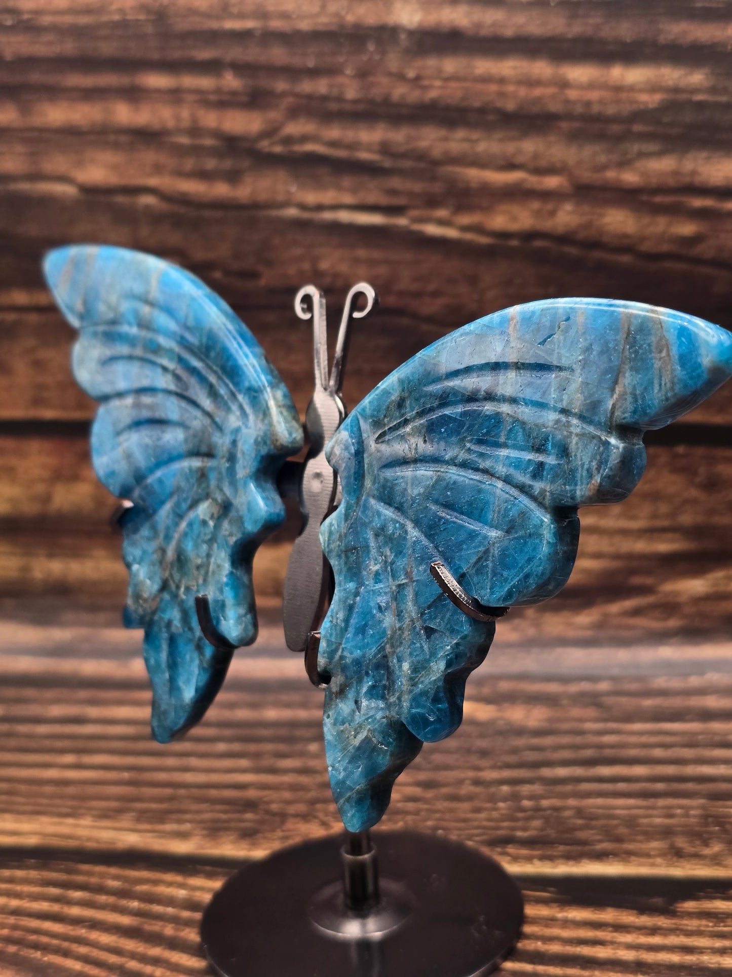 Papillon en Apatite bleue sur Socle 100 à 120 mm – Grade AA
