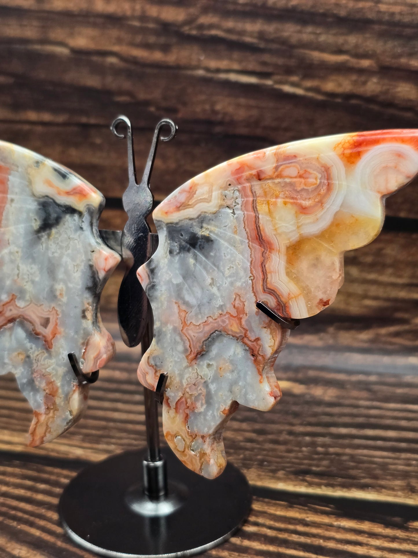 Papillon en Agate Crazy Lace sur Socle 110 à 130 mm – Joie & Vitalité, Grade AA