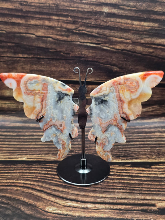 Papillon en Agate Crazy Lace sur Socle 110 à 130 mm – Joie & Vitalité, Grade AA