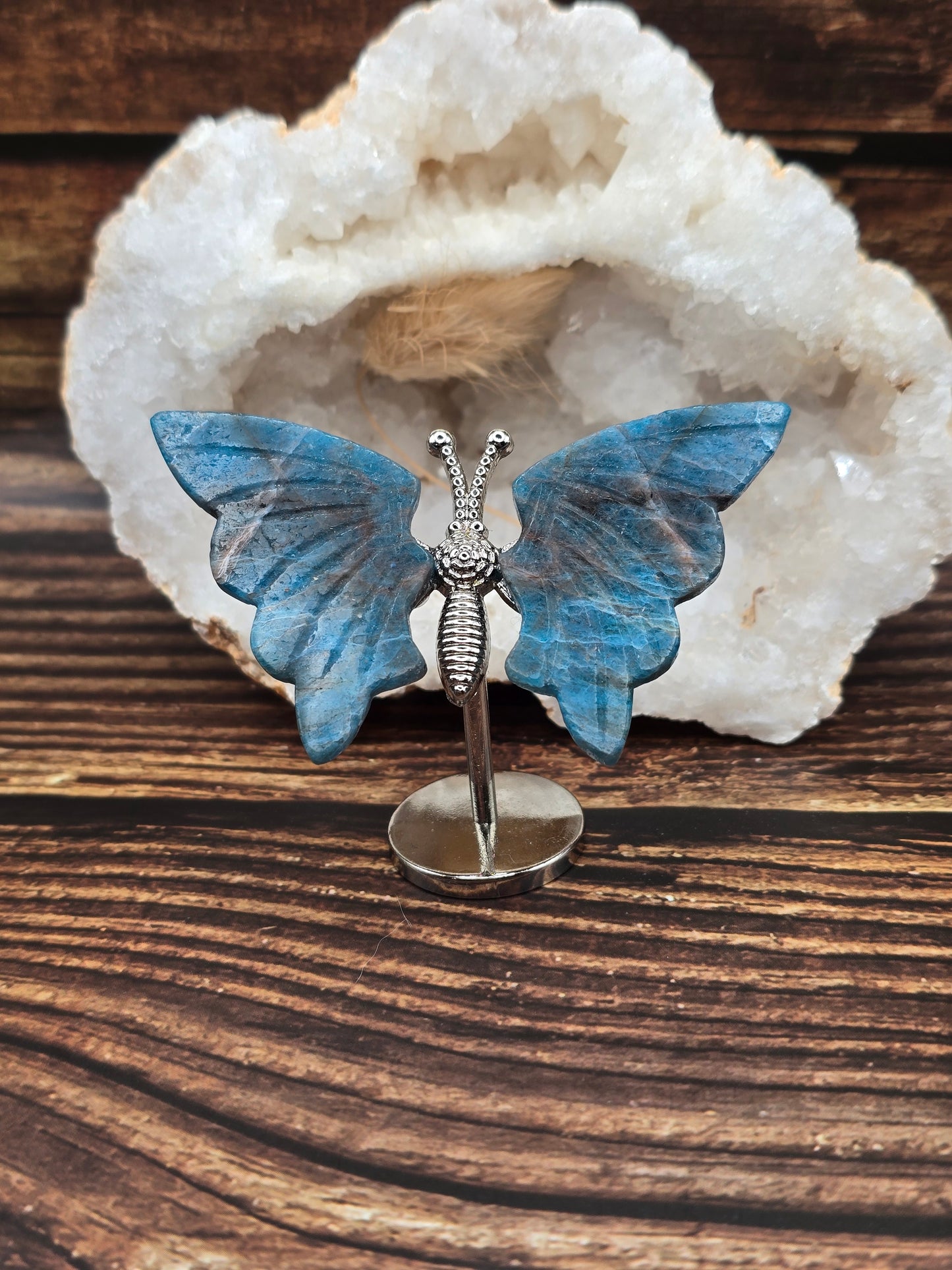 Papillon en Pierre Naturelle sur Support