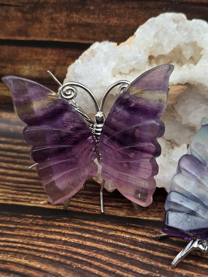 Papillon en Fluorine Multicolore 70 mm, grade AA