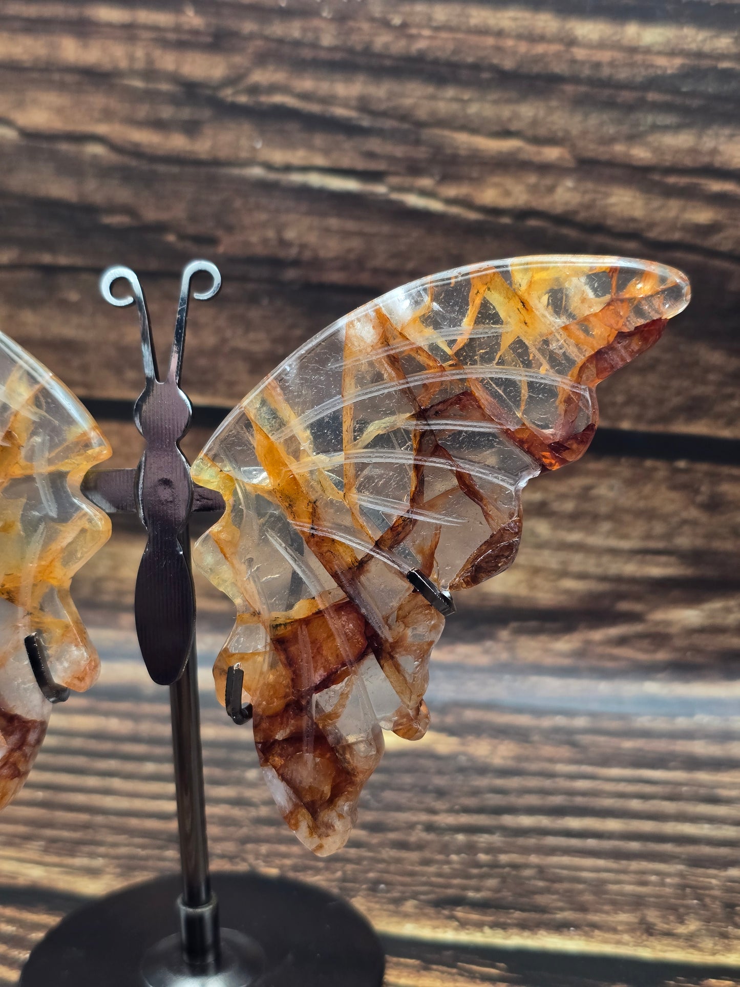 Papillon en Quartz Ferrugineux sur Socle 100 à 120 mm – Renouveau & Énergie