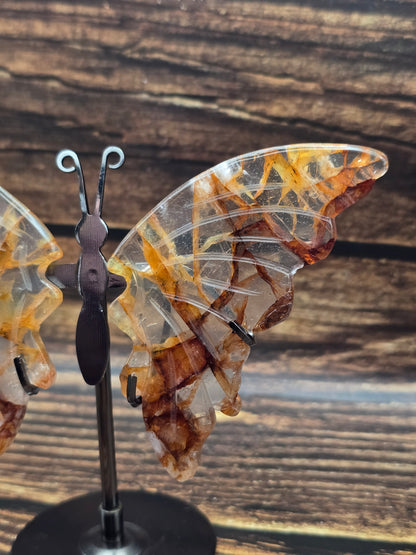 Papillon en Quartz Ferrugineux sur Socle 100 à 120 mm – Renouveau & Énergie