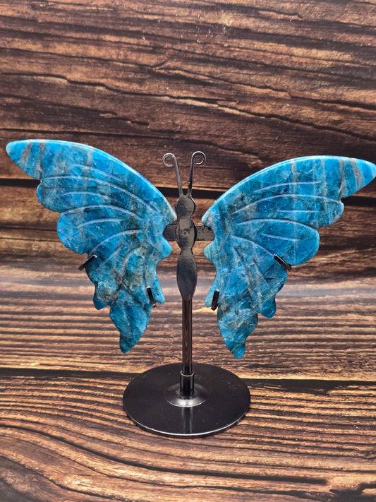 Papillon en Apatite bleue sur Socle 100 à 120 mm – Grade AA