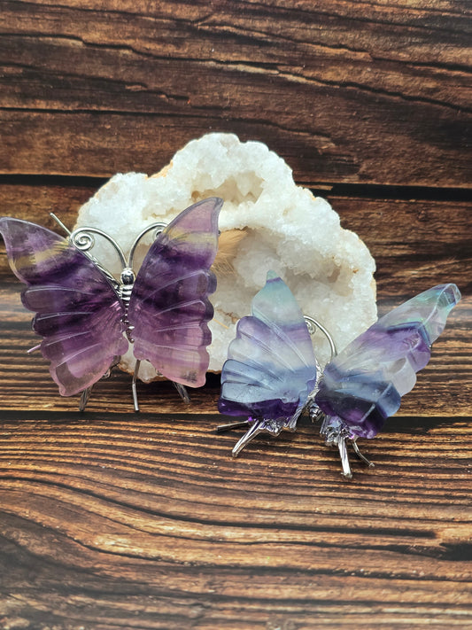 Papillon en Fluorine Multicolore 70 mm, grade AA