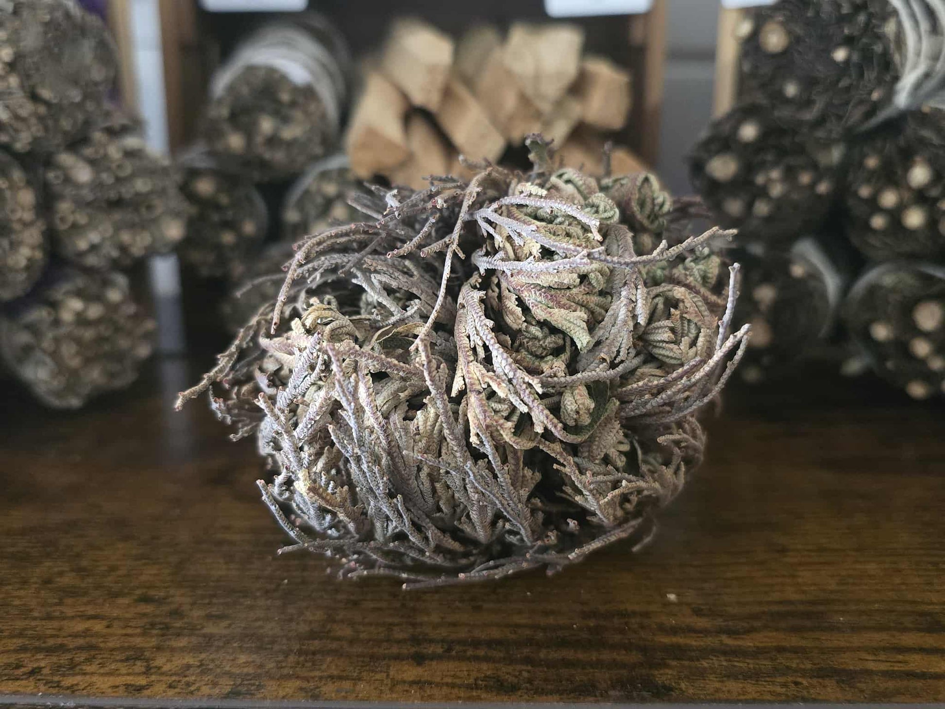Rose de Jéricho sèche – plante de résurrection spirituelle pour purification et prospérité